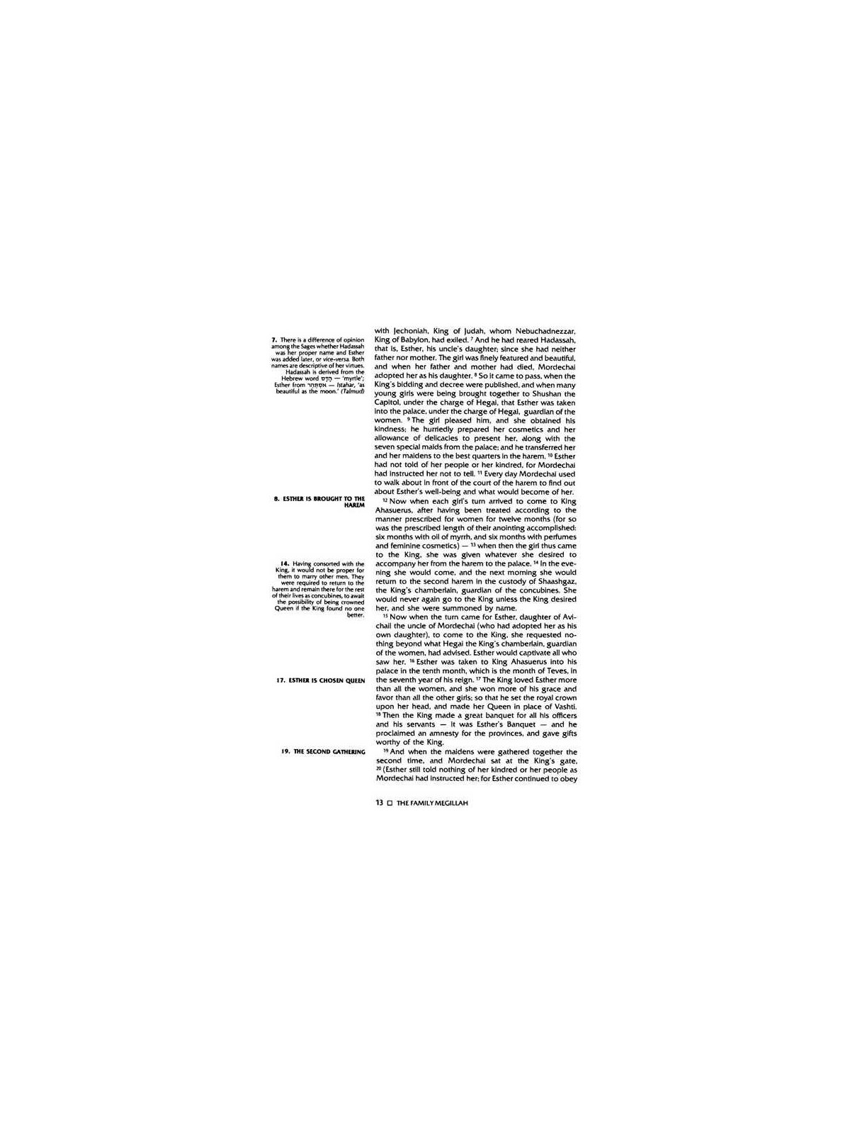 The Family Megillah - Paperback | Purim | Judaica